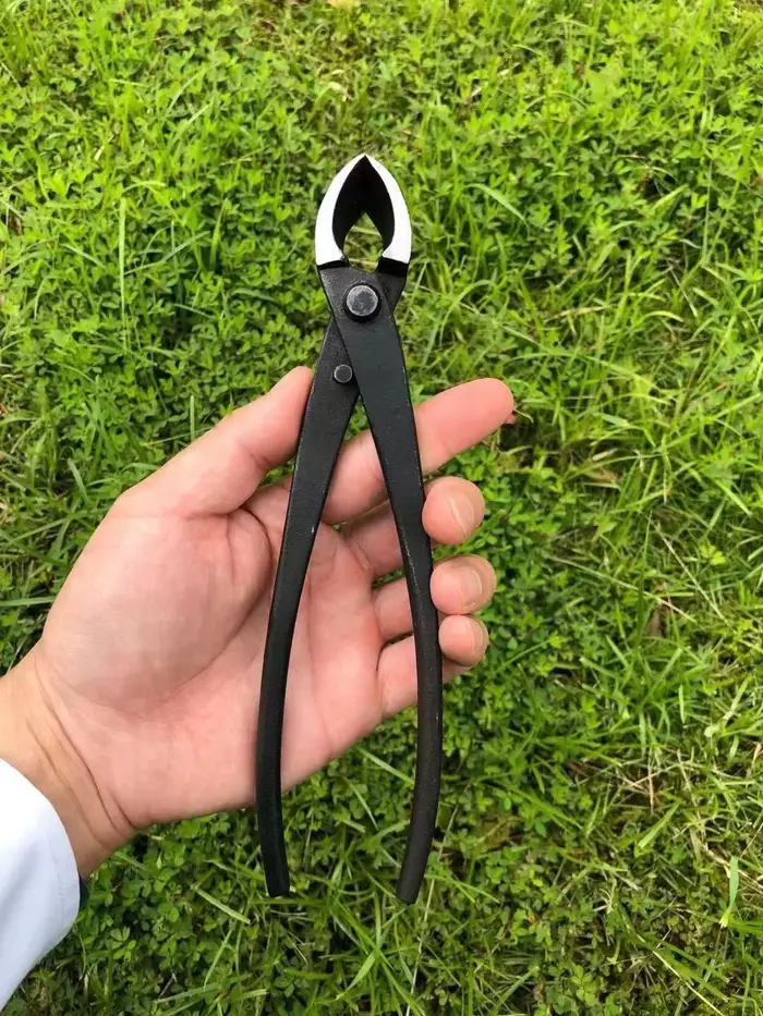 Ciseaux à tête ronde en acier forgé pour coupe de branches d'arbre de jardin, outils de bonsaï, outi