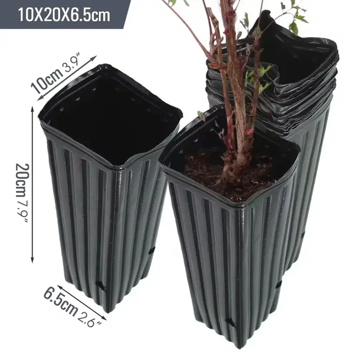 Pot d'arbre carré avec trous de Drainage, Pots de démarrage pour intérieur et extérieur, pots d'arbr