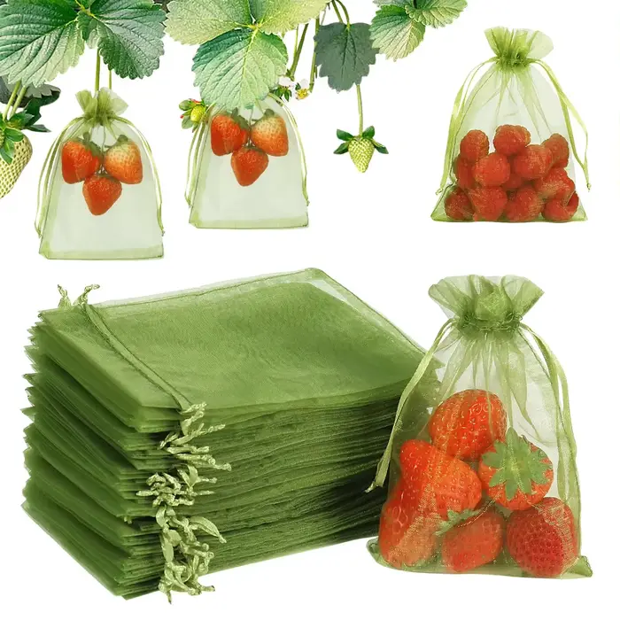 50/100 pièces Sacs de protection pour fruits avec cordon de serrage, sacs en filet anti-parasites po