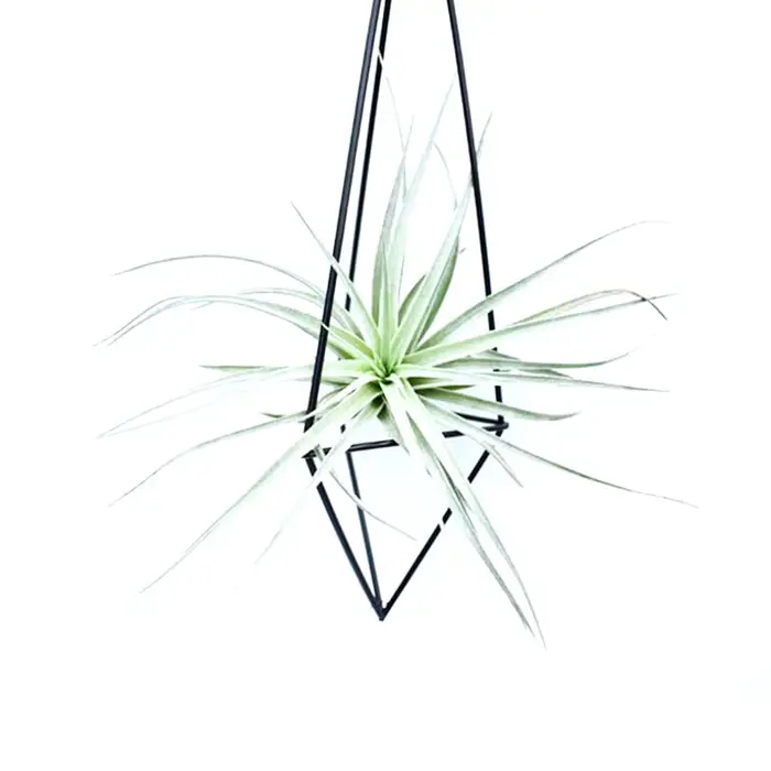 Porte-plante à air géométrique, effet visuel 3D, fraise moderne, pot andsia, conteneur, jardinière e