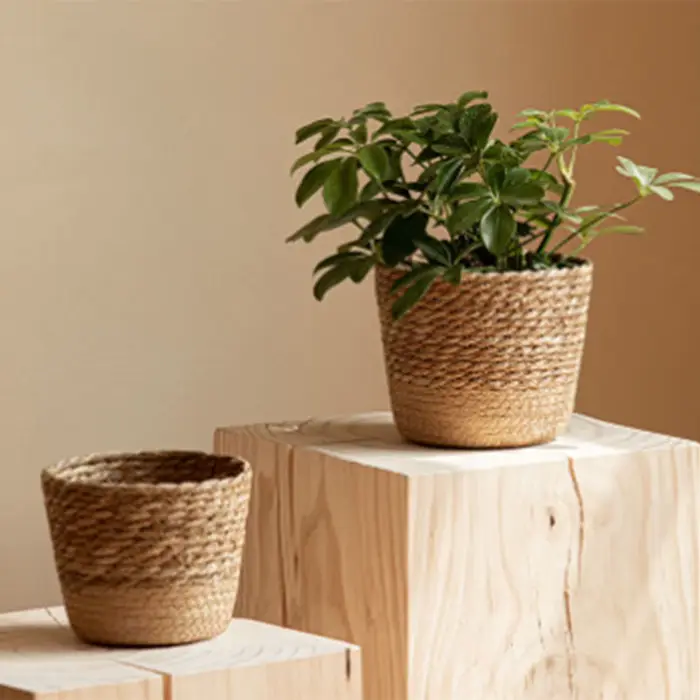 Panier de rangement en rotin tressé pour plantes, pot de fleurs en osier, jardinière artisanale tiss
