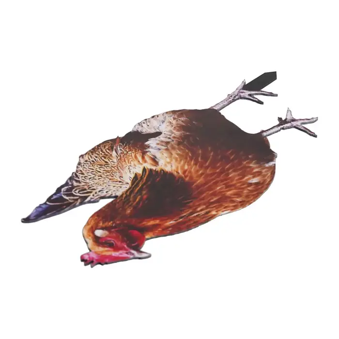 Statue de coq de jardin, Sculpture de poulet en acrylique pour décoration de cour, Figurine de poule