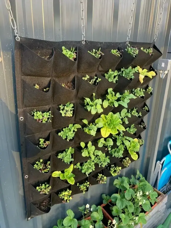 Sac de culture de plantes vertes, pochettes de grande taille, jardinière verticale de légumes de jar