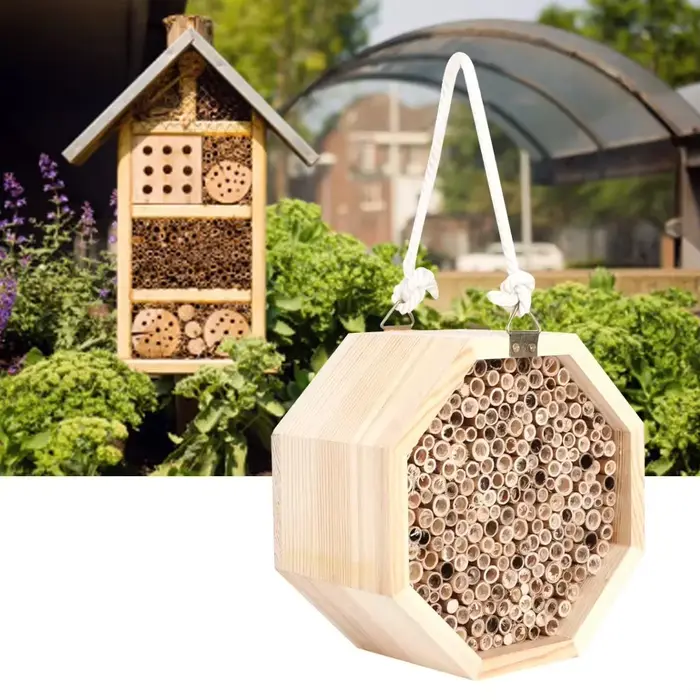 Maison d'abeilles d'insectes en bois