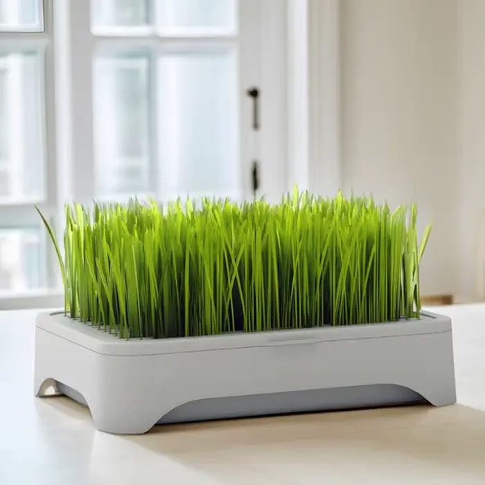 ㈅ Bac de culture hydroponique pour herbe à chat, pot de semis de blé sans terre, dispositif hydropon