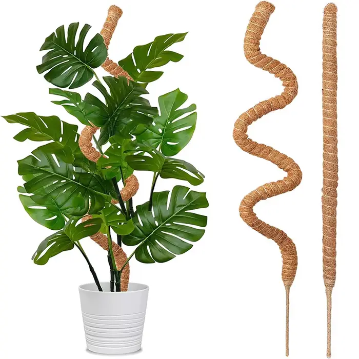 Plantes pliables Support d'escalade plante mousse coir pôle bas Support d'escalade déformé cocotier 