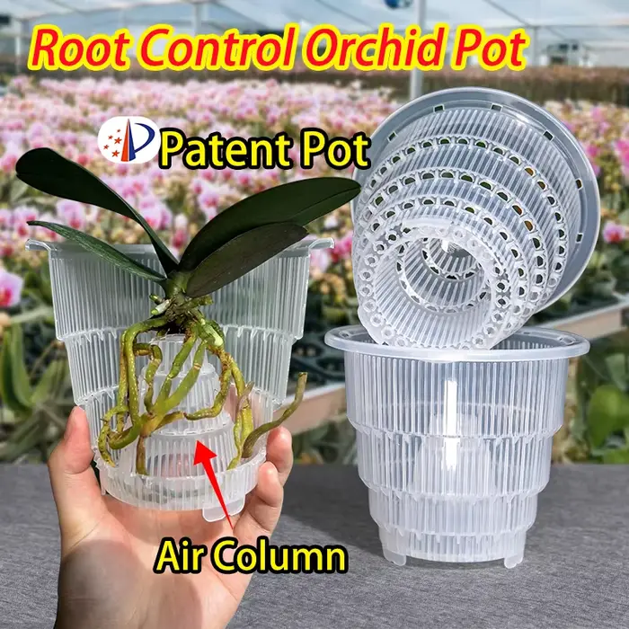Pot en maille pour décoration de la maison, Pots d'orchidées transparents avec trous, Pot de plantes