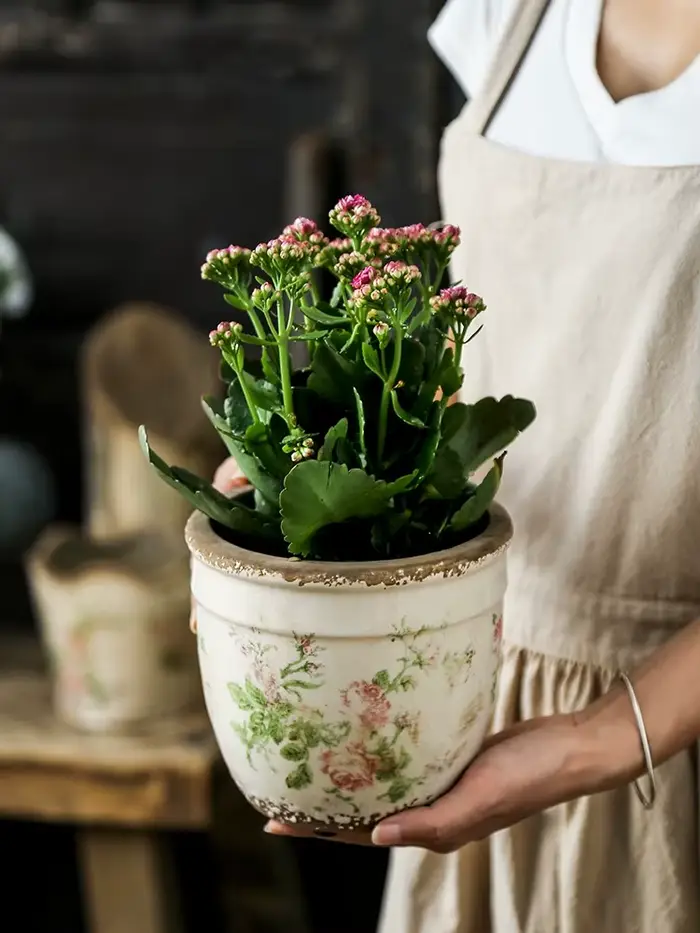 Pot de fleurs en céramique rose vieilli style vintage français pour plantes vertes