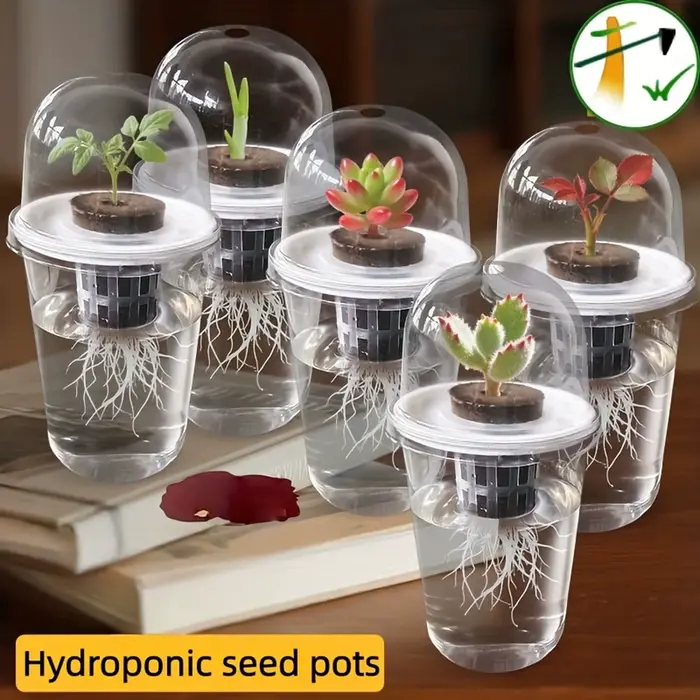 Pots de semis hydroponiques, pots cylindriques en plastique transparent avec dôme, pots de pépinière
