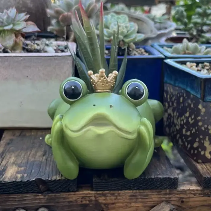 Jardinière de grenouille avec couronne