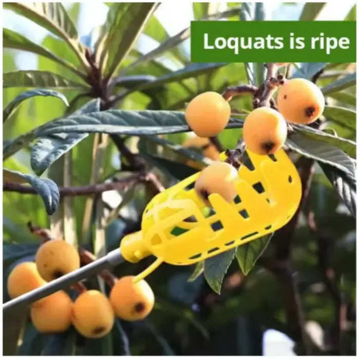 Dispositif de cueillette de jardin de ferme, outils de jardin, panier profond, tête de cueilleur de 