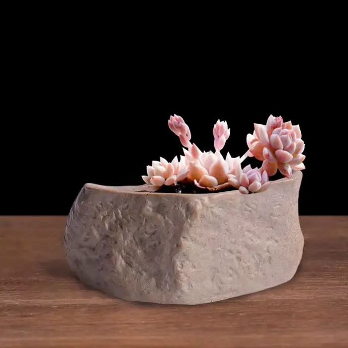 Pots de plantes succulentes en céramique en forme de pierre