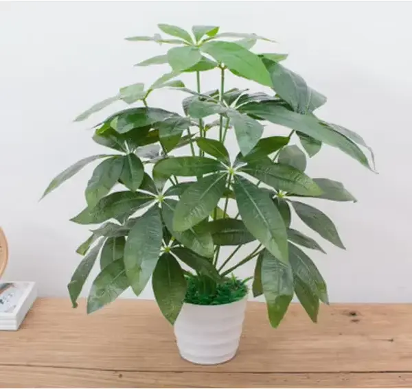 Plantes artificielles d'aloès vert, arbres Monstera en plastique, sans Pot, fausse plante, Simulatio