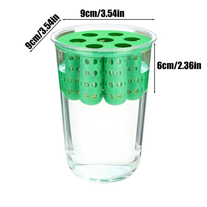 Kit de culture hydroponique réutilisable transparent pour oignon vert, germinateur de semis d'oignon