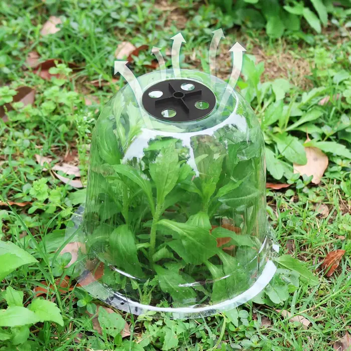 Mini serre en plastique