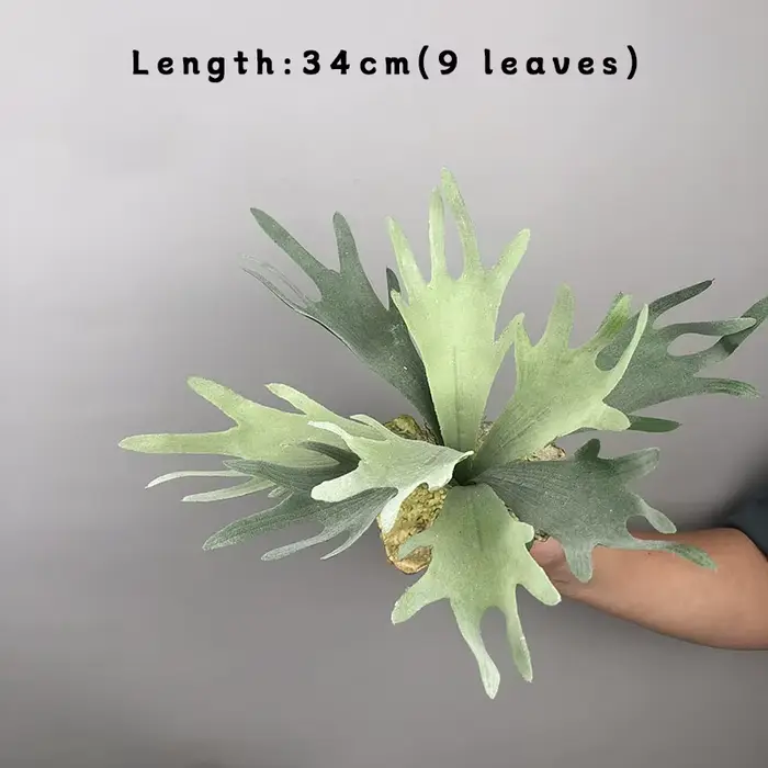 Plante de fougère en bois de cerf artificiel, Pteridophyte réaliste, fausse succulente en Pot, pour