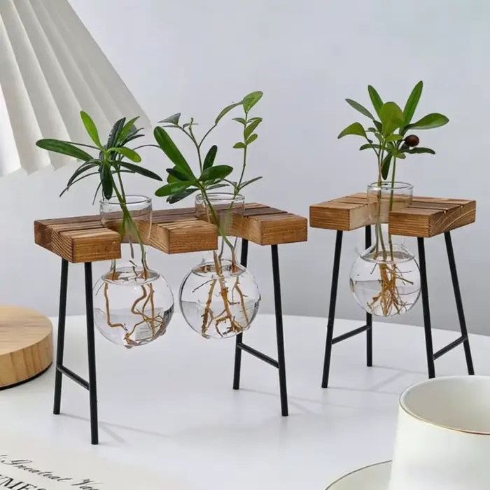 Jardinière hydroponique à cadre en bois avec bulbe en verre