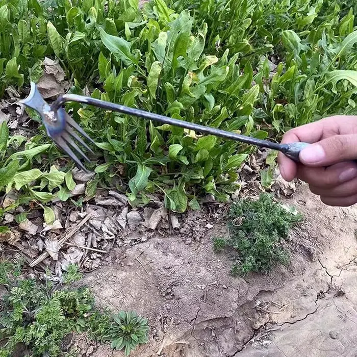 Désherbeurs de jardin en acier au manganèse