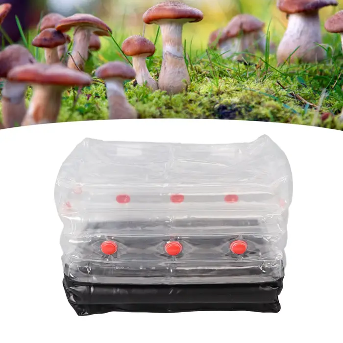 Kit de culture de champignons, Kit Monotub de champignons, Kit de culture de champignons gonflable p