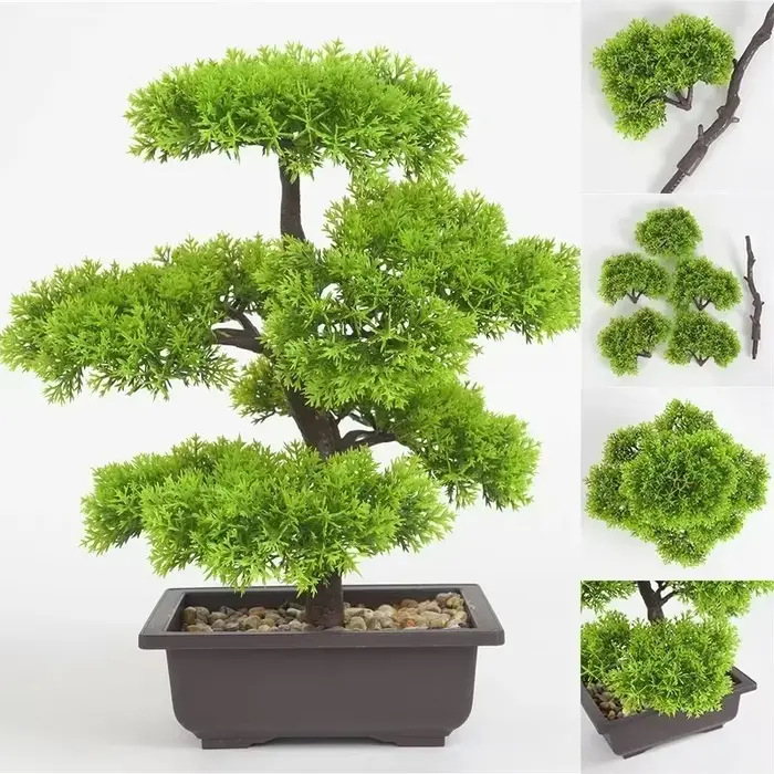Plantes artificielles de pin bonsaï
