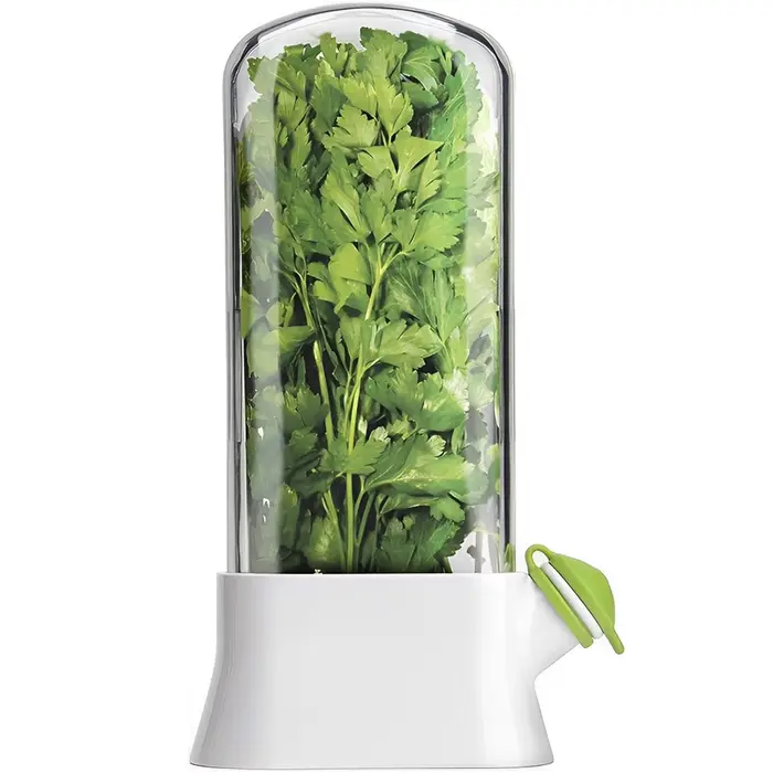 Économiseur d'herbes pour réfrigérateur, bouteille de conservation des légumes, dosette de conservat