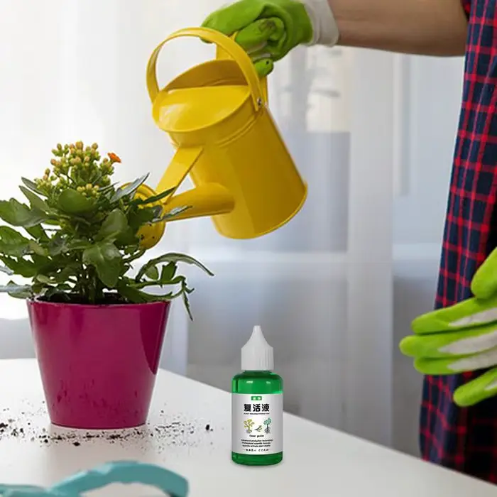 Solution universelle pour plantes, solution nutritive, nettoyeur d'orchidées et de gardénia, liquide