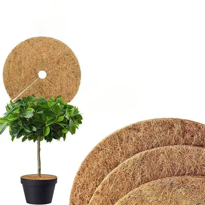Lot de 3 disques de paillis protecteurs en fibres de coco naturelles pour plantes d'intérieur et d'e