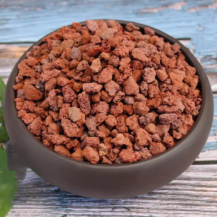 Roche volcanique rouge 500g/1000g, plantes succulentes, literie, matériaux de Purification d'eau pou