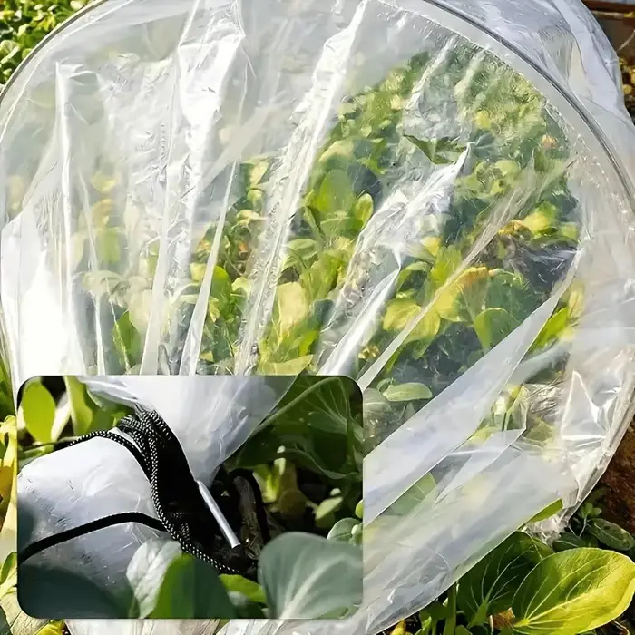 Serre de jardin en polyéthylène transparent