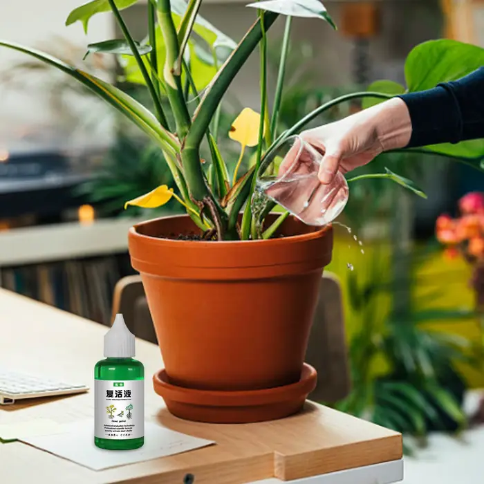 Liquide revitalisant pour plantes