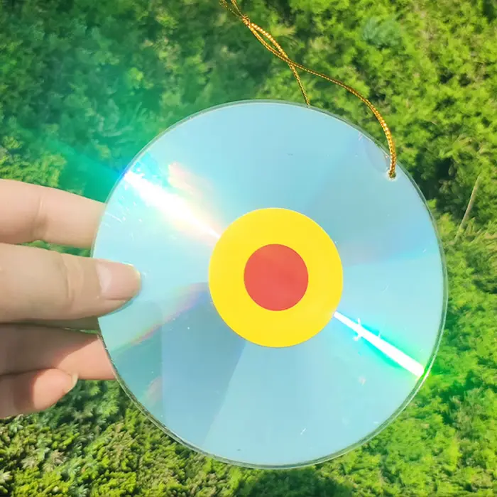 Ensemble de disques anti-oiseaux, réflecteurs d'oiseaux, épouvantail, yeux d'horreur réfléchissants 
