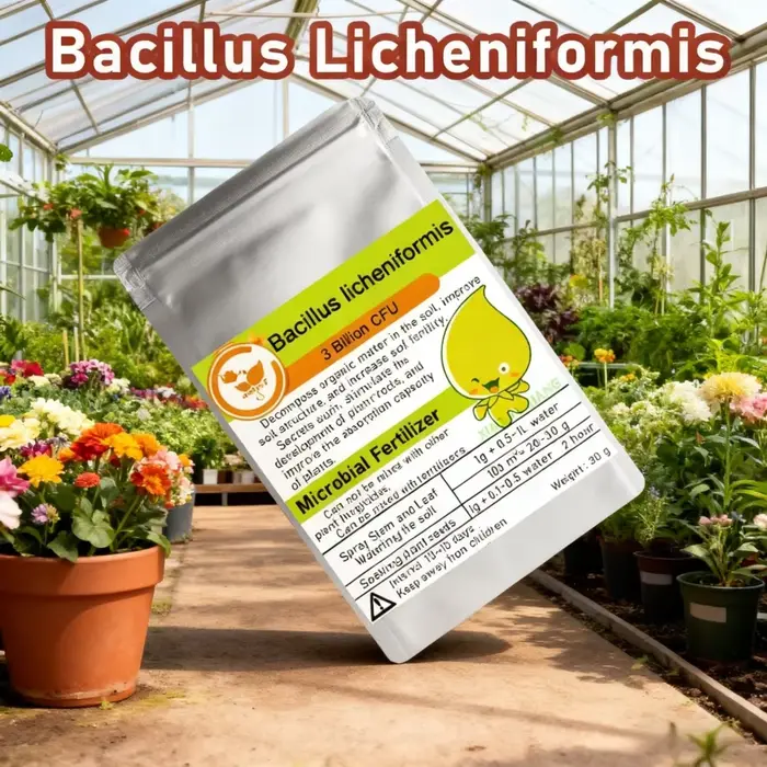 Agent de contrôle d'engrais organique microbien Bacillus licheniformis multi-train 30g – Pour la sup