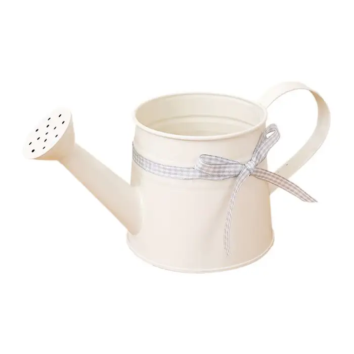 Petite arrosoir pour plantes d'intérieur, 1L, bec long, arrosoir pour fleurs, seau pour arrangement 