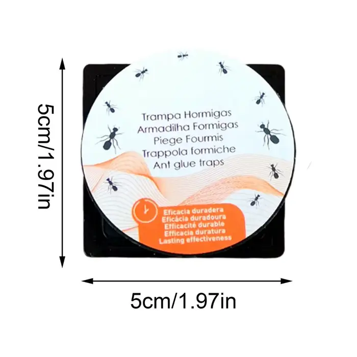 Pièges à fourmis d'intérieur, 3 pièces, boîte d'appât anti-fourmis, pièges domestiques pour cuisine,
