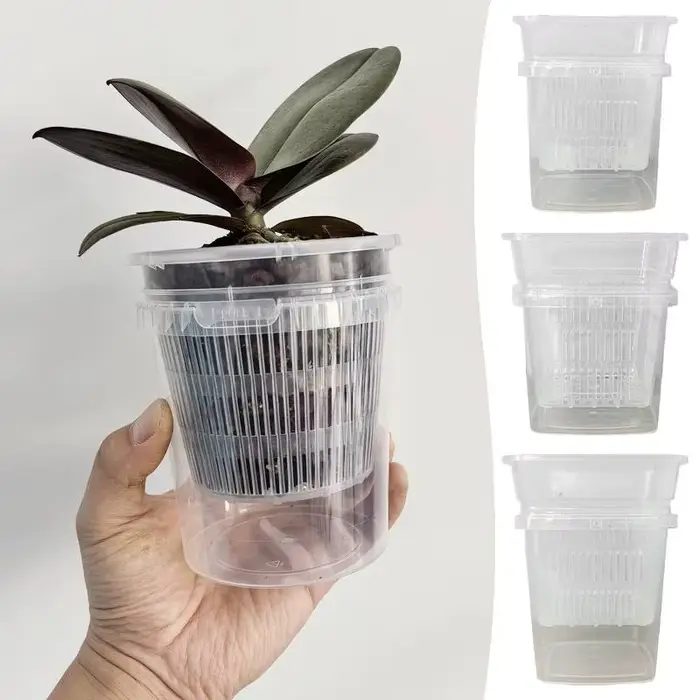 Pots à orchidées auto-arrosants