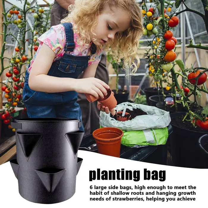 Sac de plantation de fraises de 7 gallons