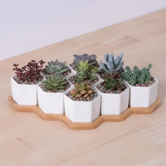 Pot de fleurs hexagonal en céramique blanche avec support en bambou