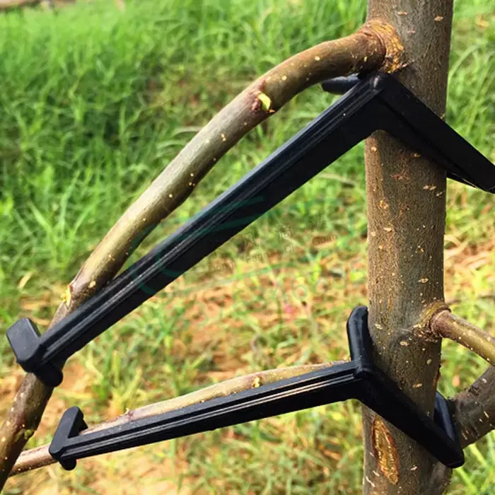 Clips pour arbres fruitiers, Support de vignes, façonneurs torsadés, extracteur de Branches, style d