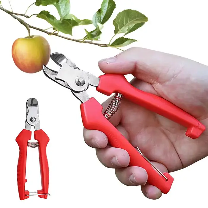 Ciseaux de jardin ergonomiques pour arbres fruitiers, cueillette de fruits, outils manuels de jardin