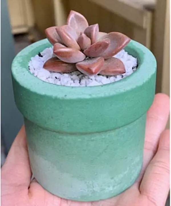 Moule en silicone pour pot de fleurs en ciment, carré, rond, moule de bassin de plantes succulentes 