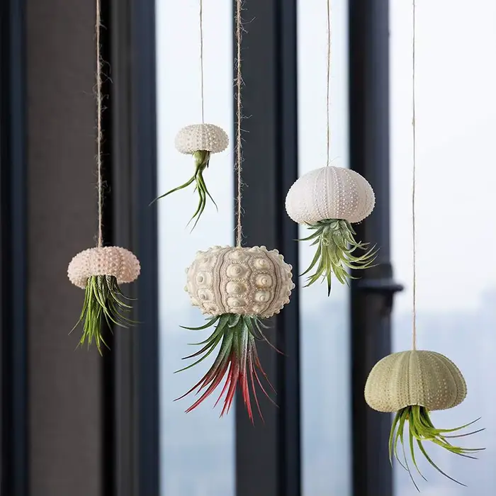 Pot de fleurs suspendu, pots de plantes suspendus, pots de fleurs amusants, pots de fleurs suspendus