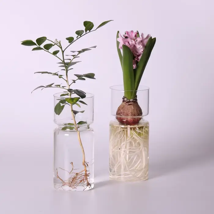 Vase en verre jacinthe transparent