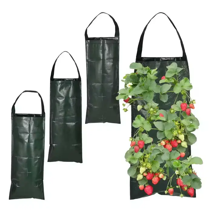 Sacs de culture suspendus pour fraises et tomates