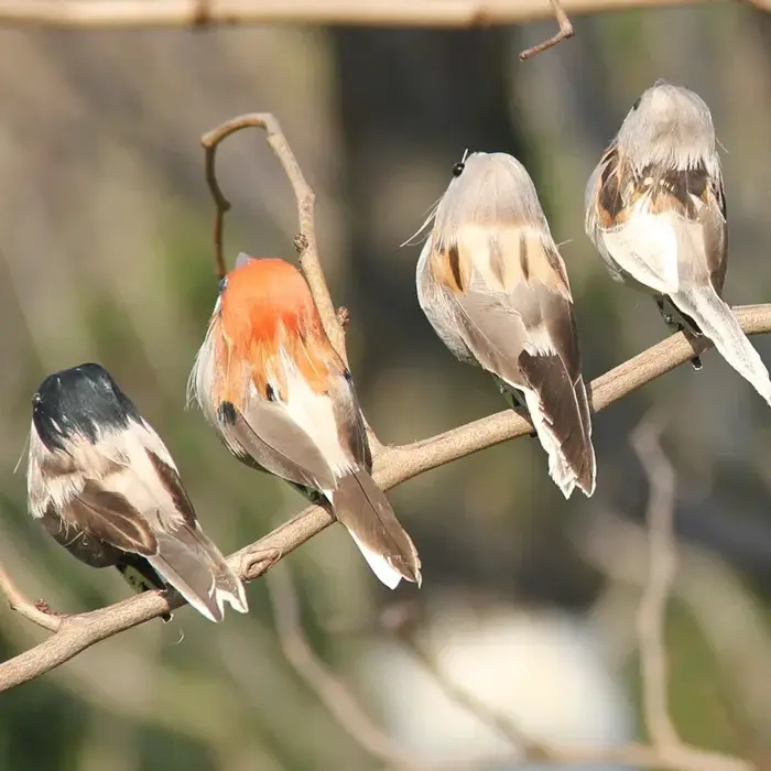 Simulation d'oiseau en mousse, 4 pièces, moineau réaliste, décoration de jardin, Robin, ornements de