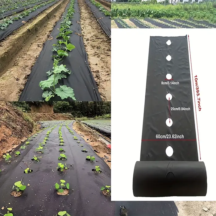 Tissu de contrôle des mauvaises herbes noir avec trous de plantation