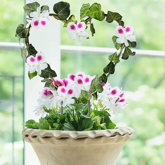 Piquet de support de plante de jardin en forme de coeur, cadre d'escalade de vigne circulaire pour f