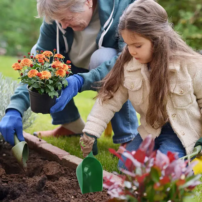 Pelle de jardinage, mini pelle à terre
