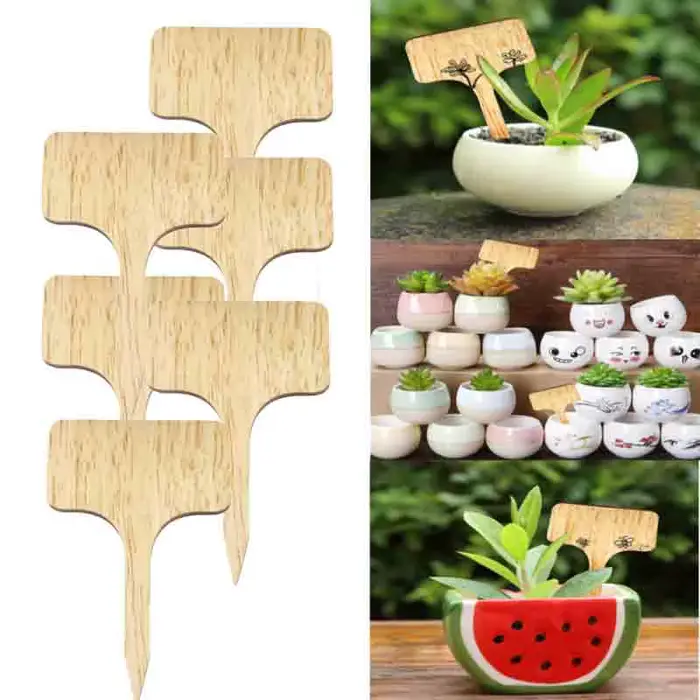 Plante en bambou de type T en bois écologique, étiquettes de signalisation, marqueurs de jardin pour
