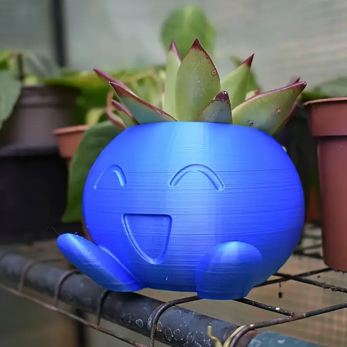 Jardinière étrange Pot de fleur étrange Pot de fleur succulente Pot de plante planteur