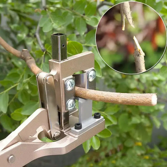 Nouvel grand outil de greffage, coupe-branches professionnel de jardin, sécateur de plantes d'élagage, boîtes de ciseaux de greffage de Branches épaisses